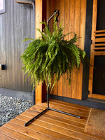 Monroe Trades Black Pipe 5 foot and 4 foot plant stands on a front porch