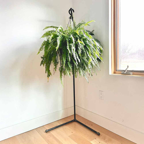 free standing hanging plant stands Industrial Plant Stand – Handcrafted Steel Pipe Display for Home or St – Monroe Trades