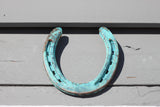 Oxidized Horseshoe